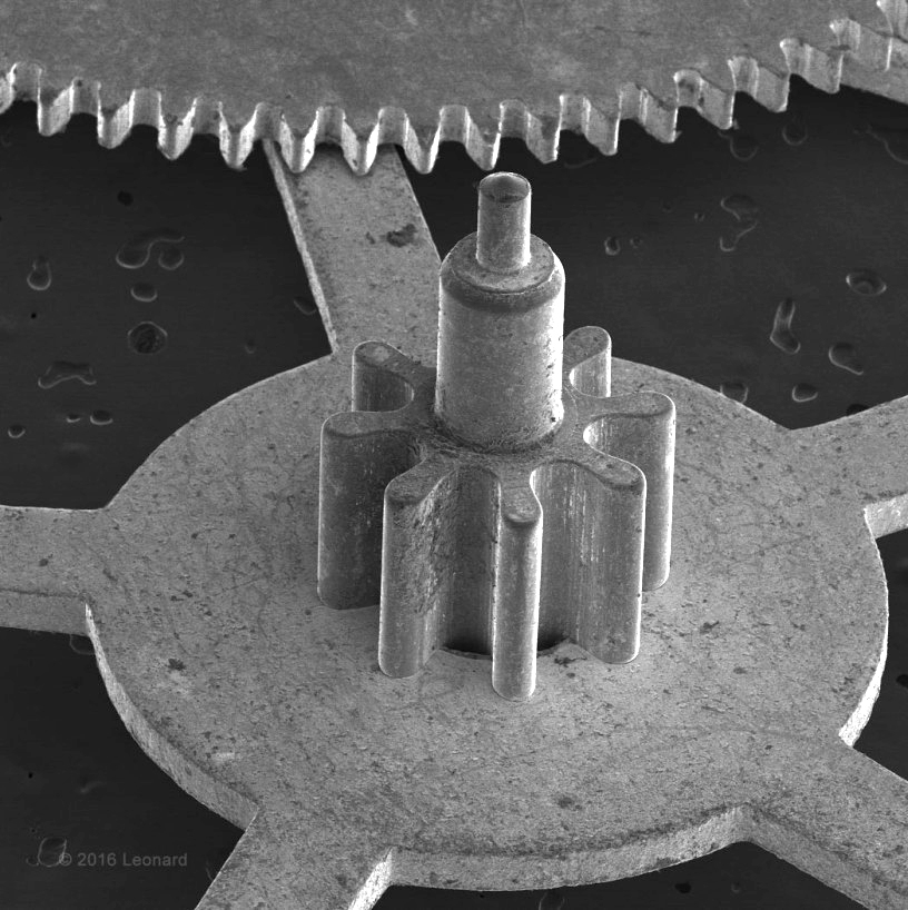 Electron microscope image used in biotechnology industry