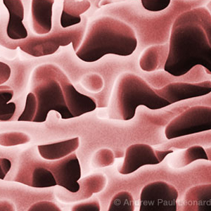 Subjects that look abstract