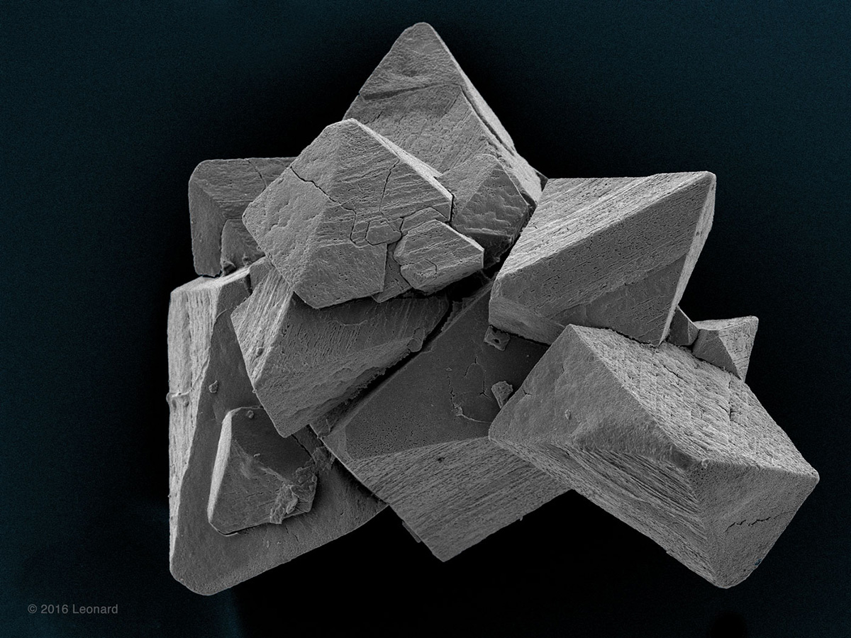 Kidney Stone Crystal Struvite  - Common in Cats