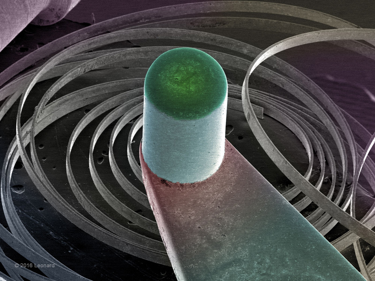 Watch gears, parts and spring