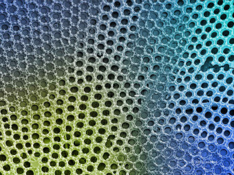 Hudson River Diatom Pattern Detail