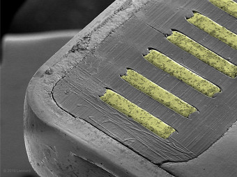 Lightning Connector commonly used for iphones.