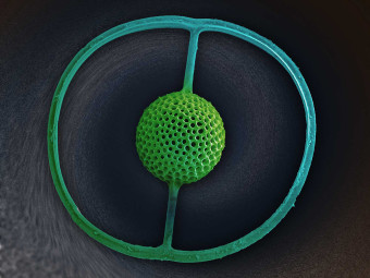 Radiolarian Saturnalis